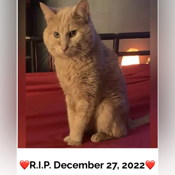 ❤️@mindyg71 💋Like to be Notified When I Go Live❤️❤️ - Picture 7 of 10